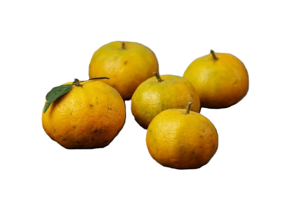 Mexerica Carioquinha