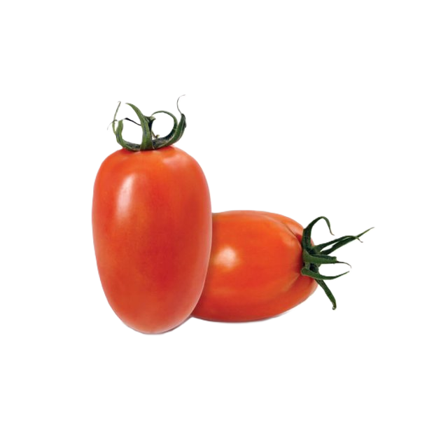 Tomate Pizzadoro/Italiano