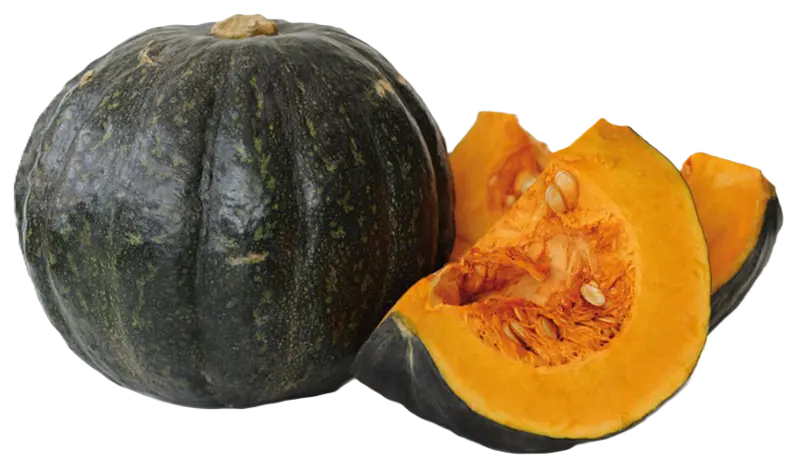 Abóbora Japonesa/Cabotian