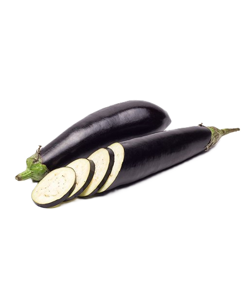 Berinjela Japonesa