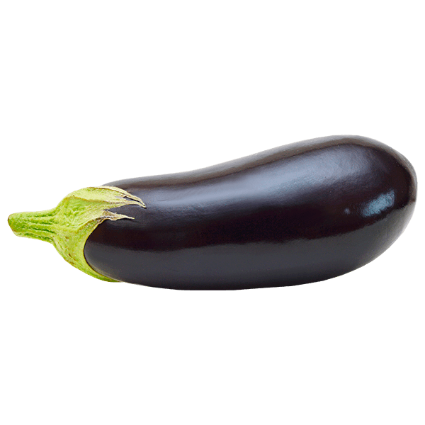 Berinjela