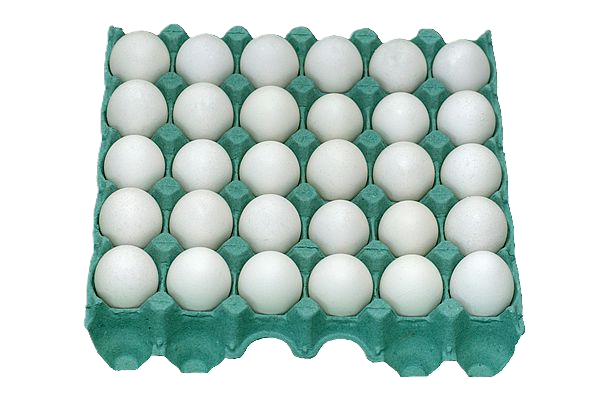 Ovo Branco Jumbo C/ 30