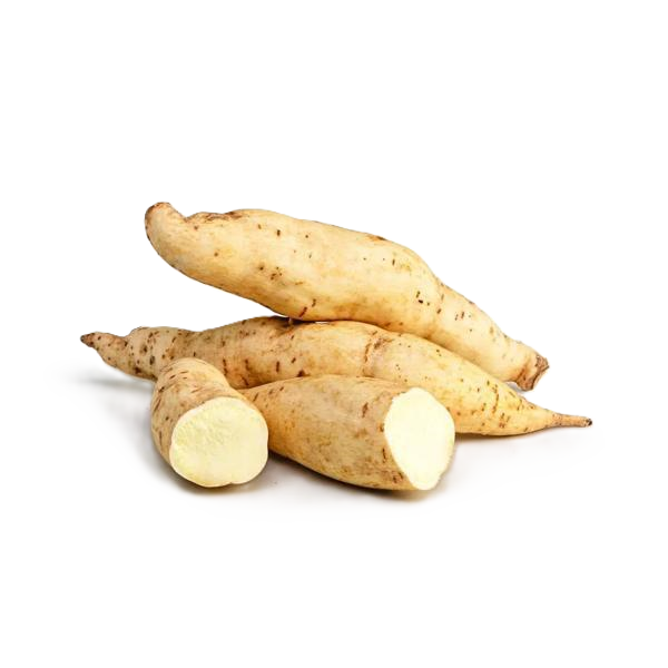 Batata Doce Branca